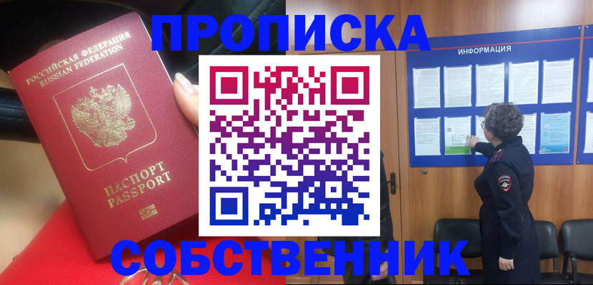 прописка для школы в Шали